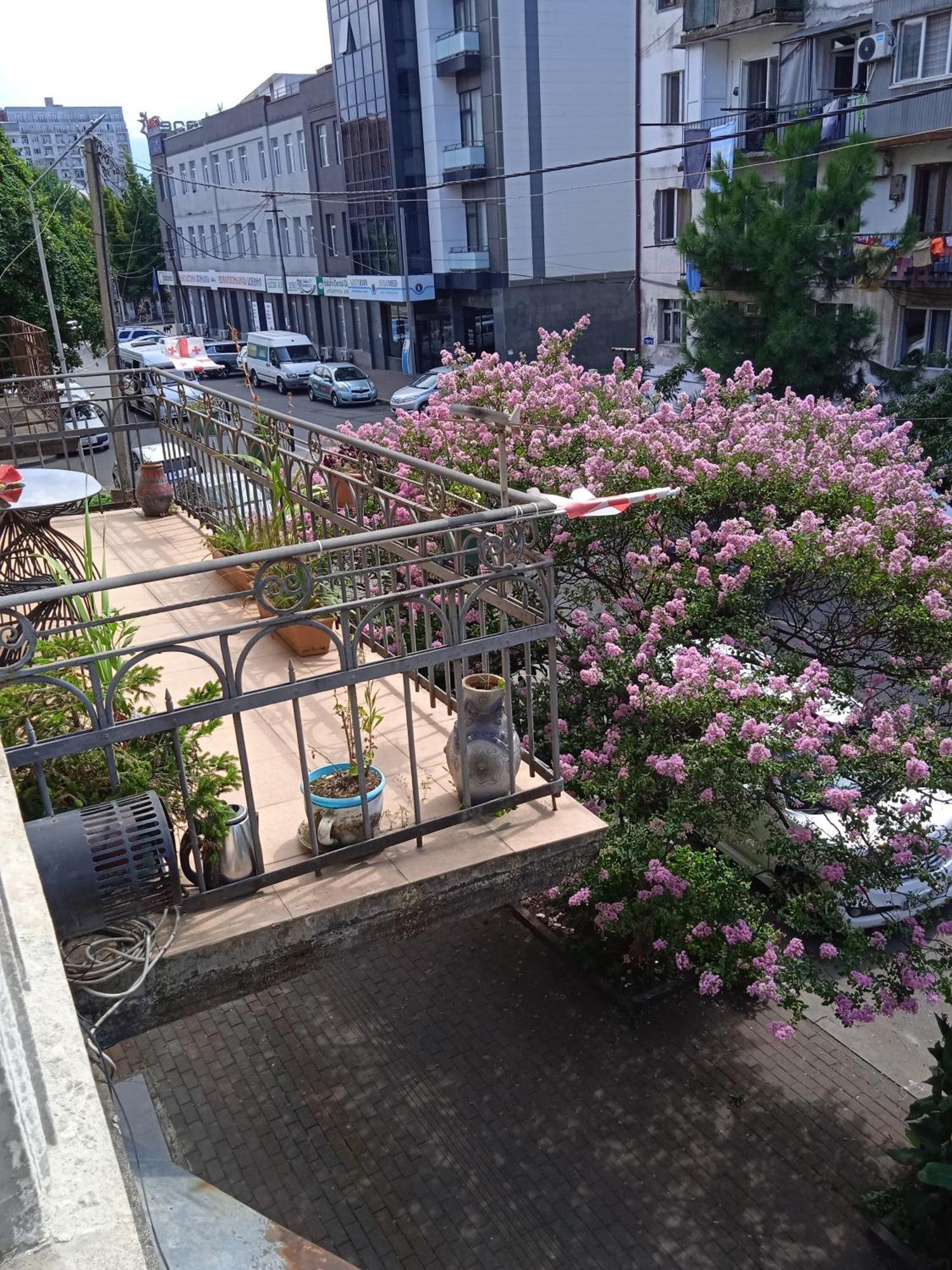 Apartment Maisi バトゥーミ エクステリア 写真